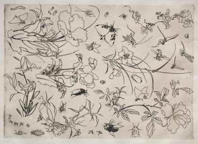 Dinerservies Rousseau servies: Bloemen en Insecten nr. 15, 1866 door Felix Bracquemond