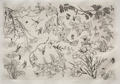 Dinerservies Rousseau servies: Bloemen nr. 22, 1866 door Felix Bracquemond