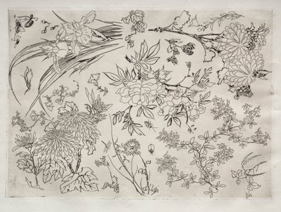 Dinerservies Rousseau servies: Bloemen nr. 23, 1866 door Felix Bracquemond