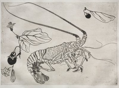 Grote kreeft met opgeheven antenne door Felix Bracquemond
