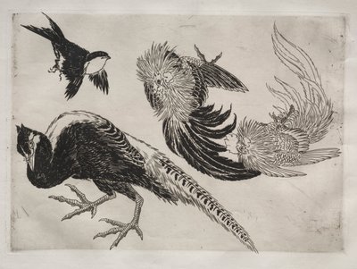 Dinerservies Rousseau servies: Fazanten en vogel nr. 18, 1866 door Felix Bracquemond