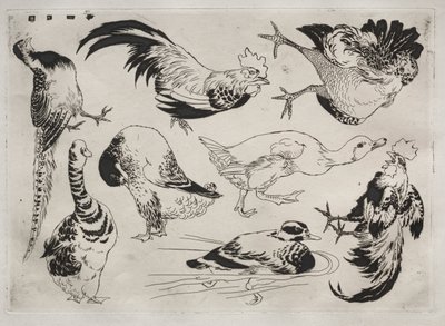 Dinerservies Rousseau servies: Hanen, eenden, enz. nr. 13, 1866 door Felix Bracquemond