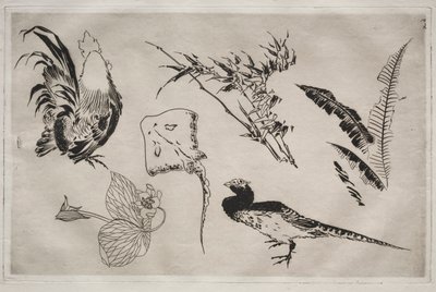 Dinerservies Rousseau servies: Hanen, rog, planten, enz. nr. 9, 1866 door Felix Bracquemond