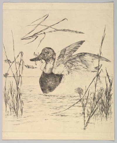 Eend, 1850-1914 door Felix Bracquemond