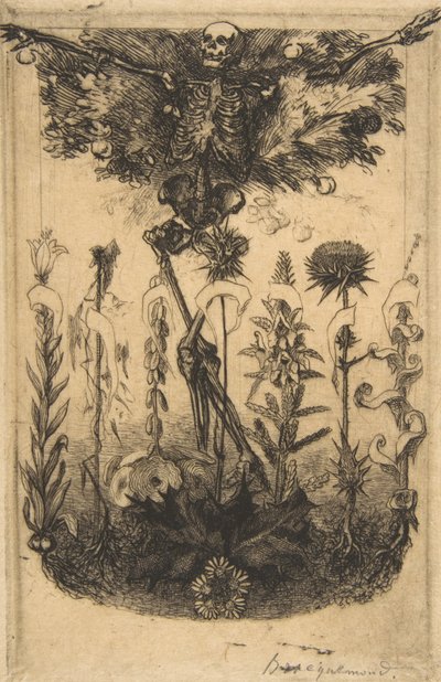 Frontispice voor Les Fleurs du Mal door Felix Bracquemond