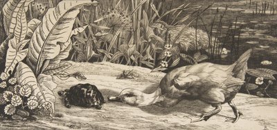 De onbekende, 1862 door Felix Bracquemond