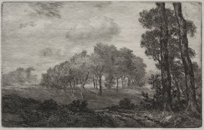 Landschap, naar Français door Felix Bracquemond