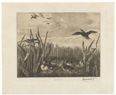 Landschap met talingen in het water tussen riet door Felix Bracquemond