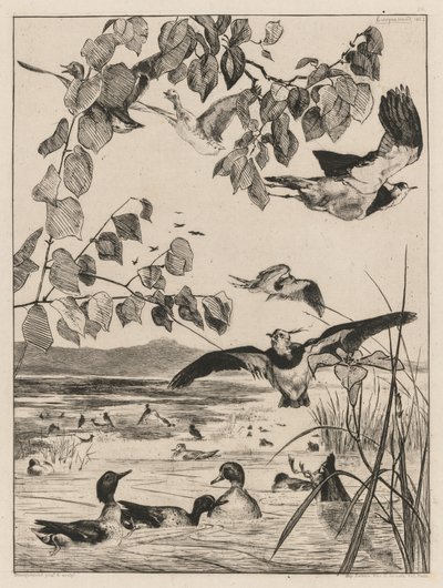 Kieviten en talingen, 1862 door Felix Bracquemond