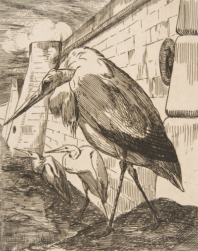 De ooievaars door Felix Bracquemond