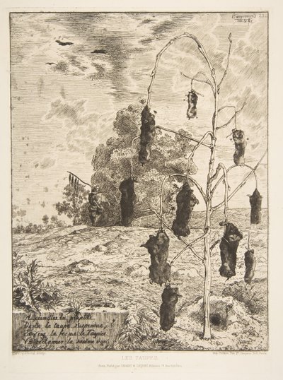 Les Taupes, 1854 door Felix Bracquemond