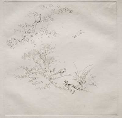 Parijse Service Haviland service: Mist nr. 1, 1875 door Felix Bracquemond