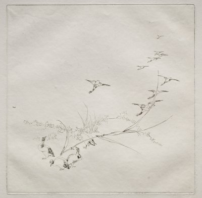 Parijse service Haviland service: Recht in de zon nr. 9, 1875 door Felix Bracquemond