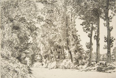 Rue des Bruyères, à Sèvres door Felix Bracquemond
