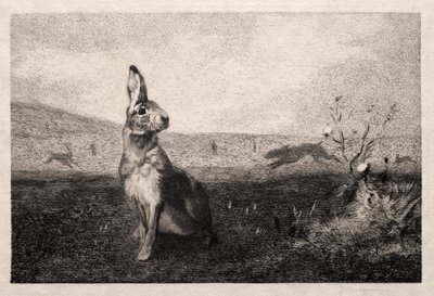 De haas na A. de Balleroy, 1865 door Felix Bracquemond