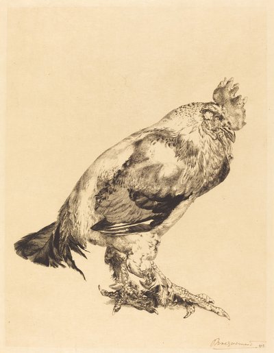 De oude haan door Felix Bracquemond