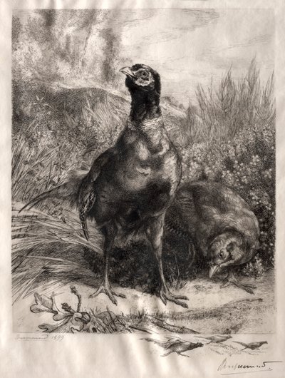 De fazanten, 1899 door Felix Bracquemond