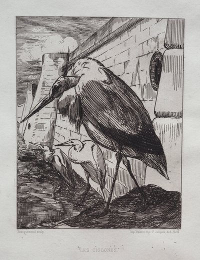 De Ooievaars door Felix Bracquemond