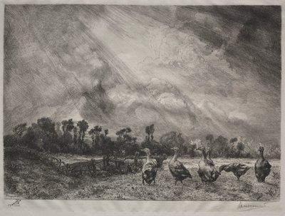 De Stormwolk door Felix Bracquemond