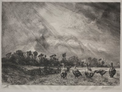 De stormwolk, 1878-1887 door Felix Bracquemond