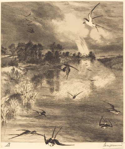 De zwaluwen door Felix Bracquemond
