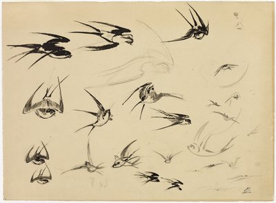De Zwaluwen door Felix Bracquemond