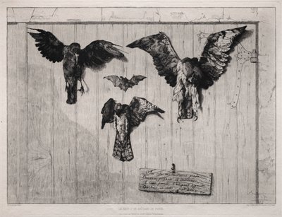 De Bovenkant van de Klapdeur door Felix Bracquemond