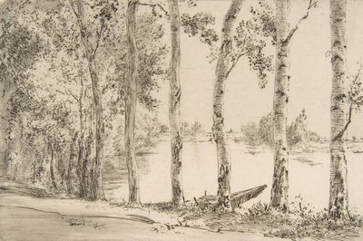 Trembles aan de Oever van de Seine, ca. 1884 door Felix Bracquemond
