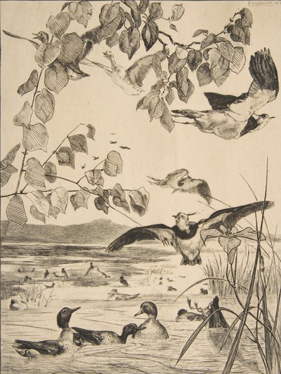 Kieviten en wintertalingen door Felix Bracquemond