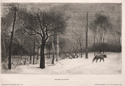 Winter door Felix Bracquemond