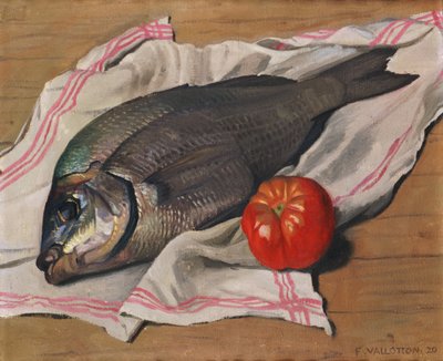 Dorade of 