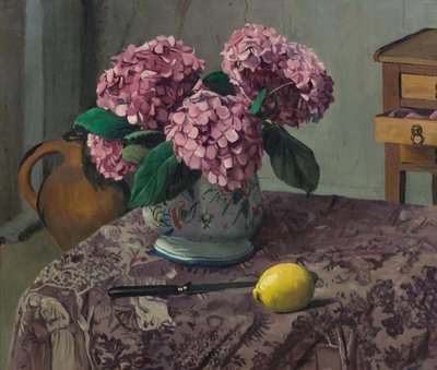 Hortensia