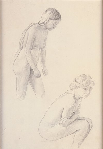 Twee naakten door Felix Edouard Vallotton