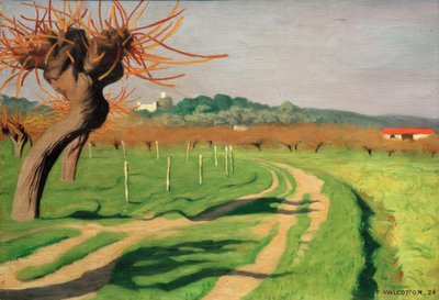 Vallei van de Cagne door Felix Edouard Vallotton