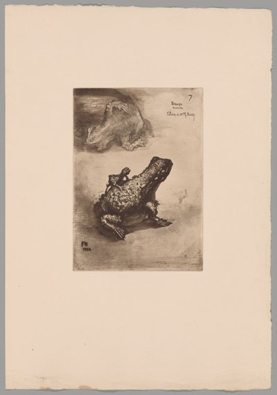 Japonisme door Felix Hilaire Buhot
