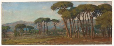 Uitgestrekt landschap met een dorp en heuvels in de verte door Felix Hippolyte Lanoue