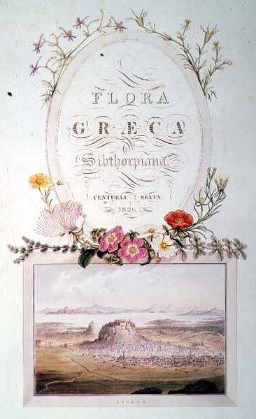 Titelpagina van Deel 6 van 