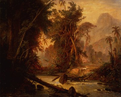 Een tropisch bos in Venezuela door Ferdinand Bellermann