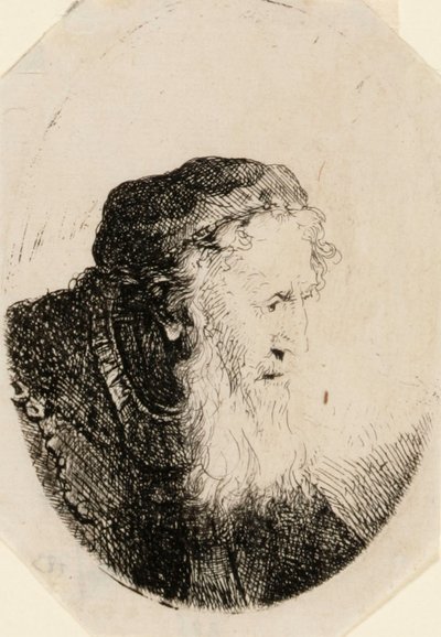 Oude man met golvende baard door Ferdinand Bol