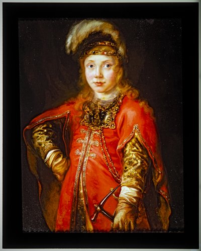 Portret van een jongeling in een rode tuniek door Ferdinand Bol