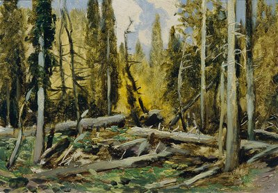 Böhmerwald (uit de map 