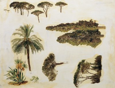 Boomstudies uit Rome door Ferdinand Georg Waldmuller