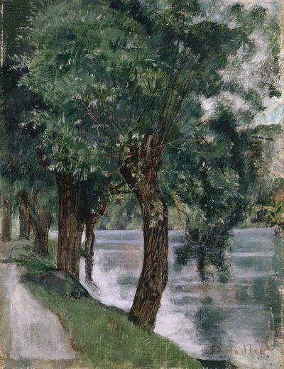 Wilgenbomen aan de Rhône, c.1885 door Ferdinand Hodler