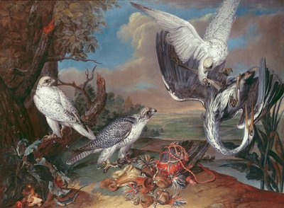 Groenlandse Cyr Valken door Ferdinand Phillip de Hamilton