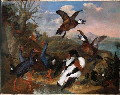 Bergeenden en andere Vogels in een Landschap, 1720 door Ferdinand Phillip de Hamilton