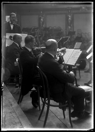 Strijkinstrument van het Weense lid van een filharmonisch orkest door Ferdinand Schmutzer
