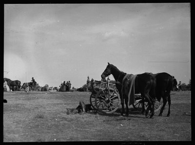 Paard naast kar in Semere door Ferdinand Schmutzer