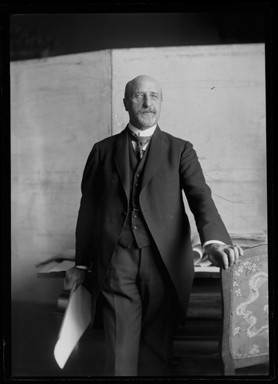 Afbeelding van Karl Seitz (1869-1950) door Ferdinand Schmutzer