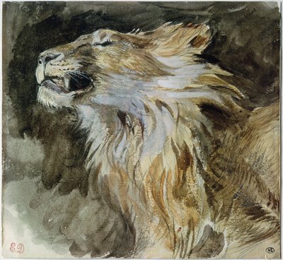 Het hoofd van een leeuw door Ferdinand Victor Eugene Delacroix