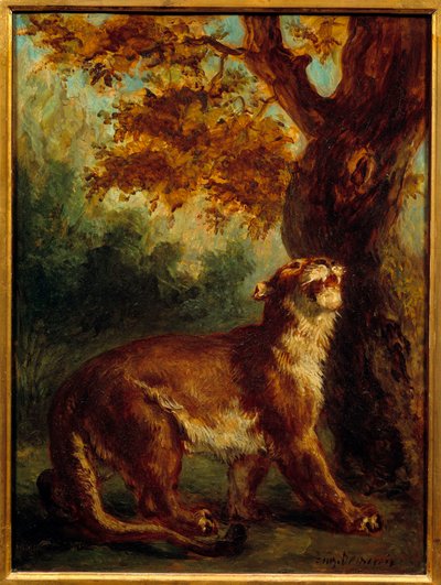 De poema ook wel leeuwin op de uitkijk voor een prooi door Ferdinand Victor Eugene Delacroix